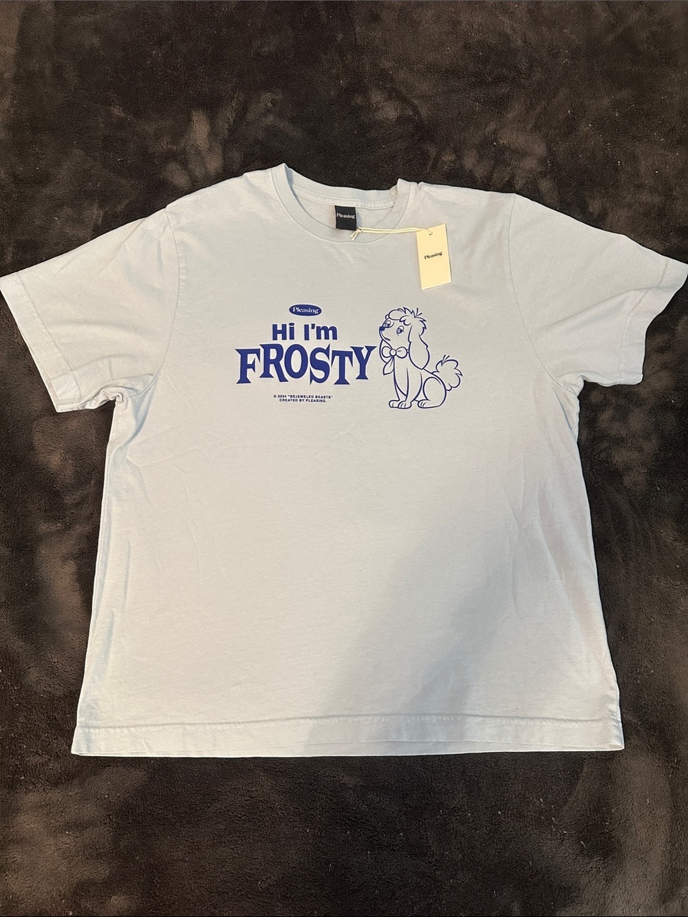 Pleasing “Hi I’m Frosty” Tee – Light Blue – Size Small – NWT NEW WITH TAGS